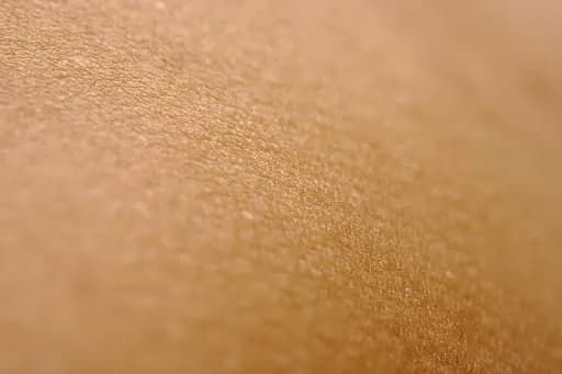 5 Cara Mengetahui Jenis Kulit Wajah dengan Akurat